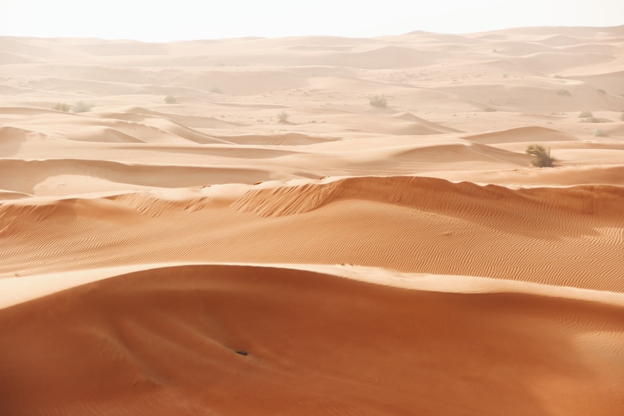 Al Marmoom Desert Conservation Reserve from satellite