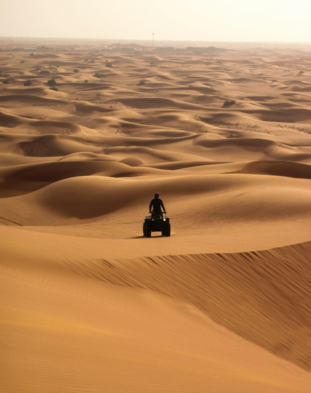 Dubai Desert Conservation Reserve from satellite