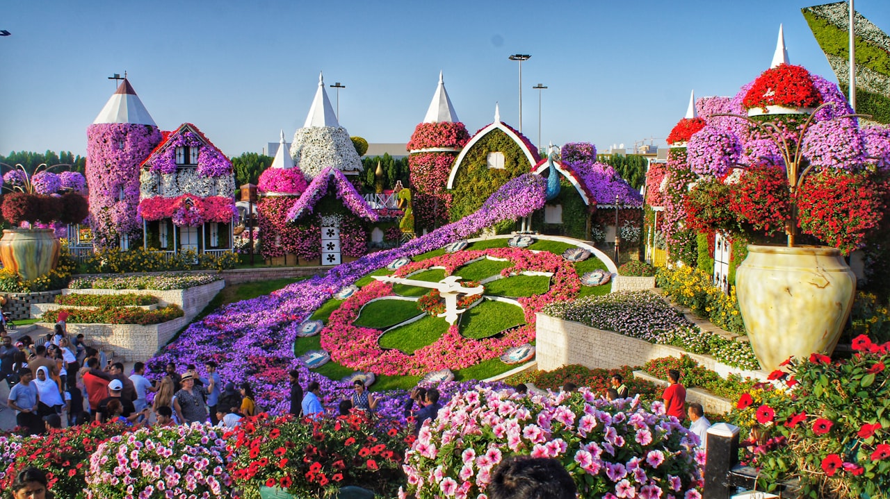 Dubai Miracle Garden — фото 1